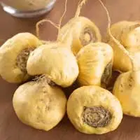Maca root research on energy and hormonal balance used in Sugar Defender